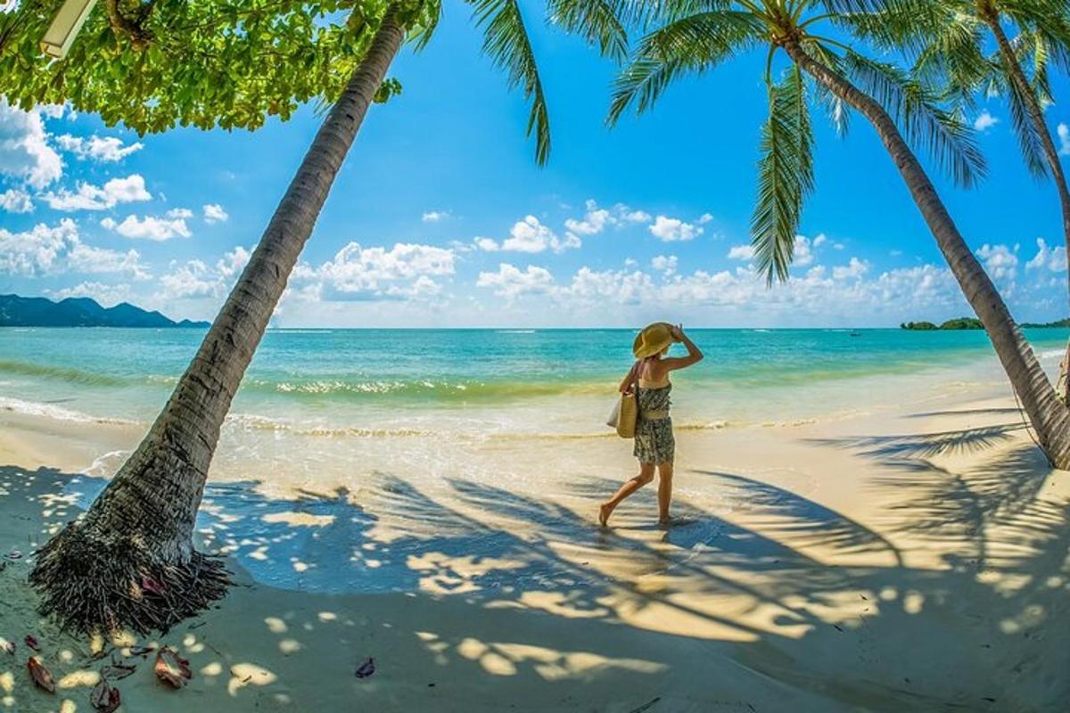 seorang wanita berjalan di pantai dengan dua pokok palma