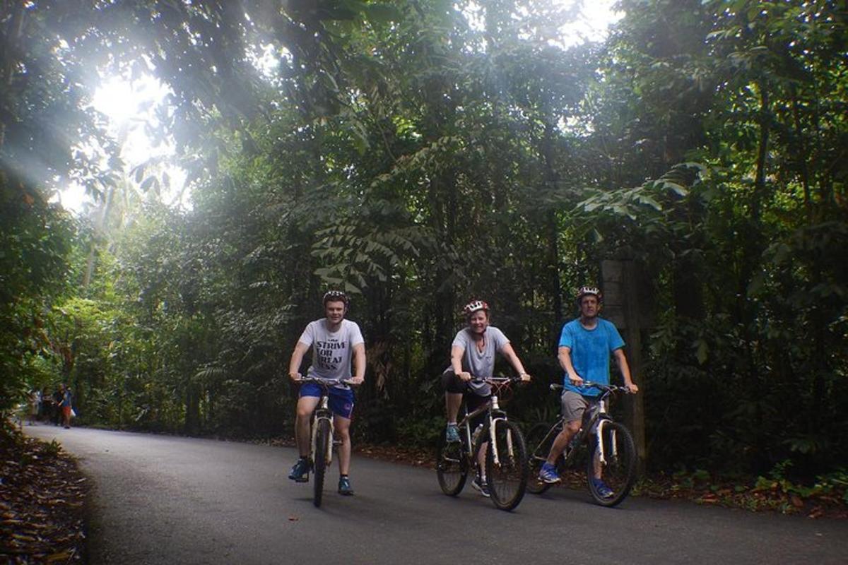 tre uomini in bicicletta lungo una strada nella foresta
