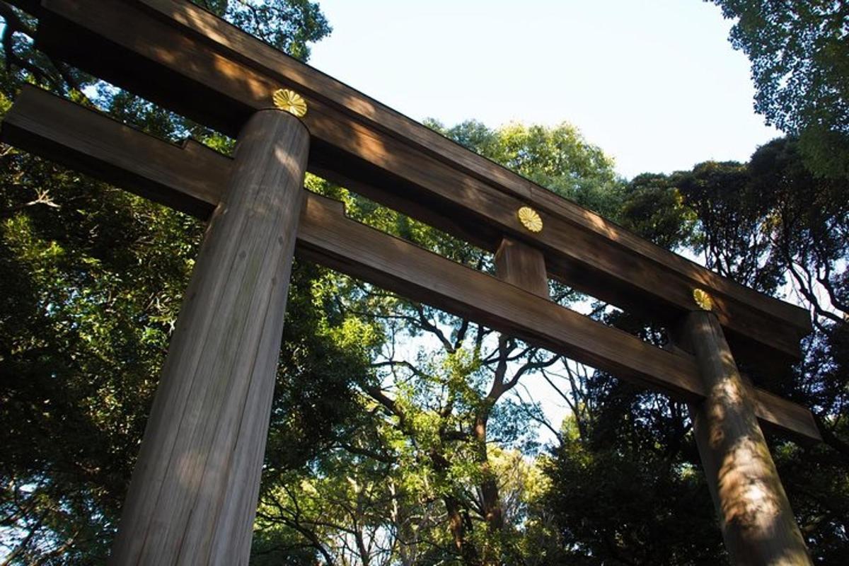 Brána torii v parku se stromy v pozadí