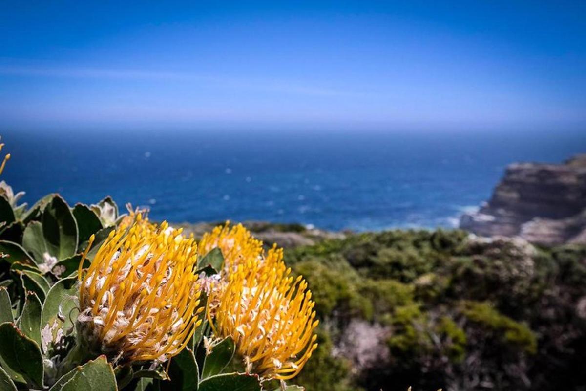 un fiore giallo con l'oceano sullo sfondo