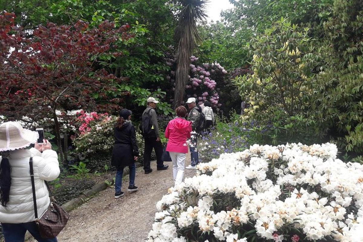 a group of people walking through a garden with flowers