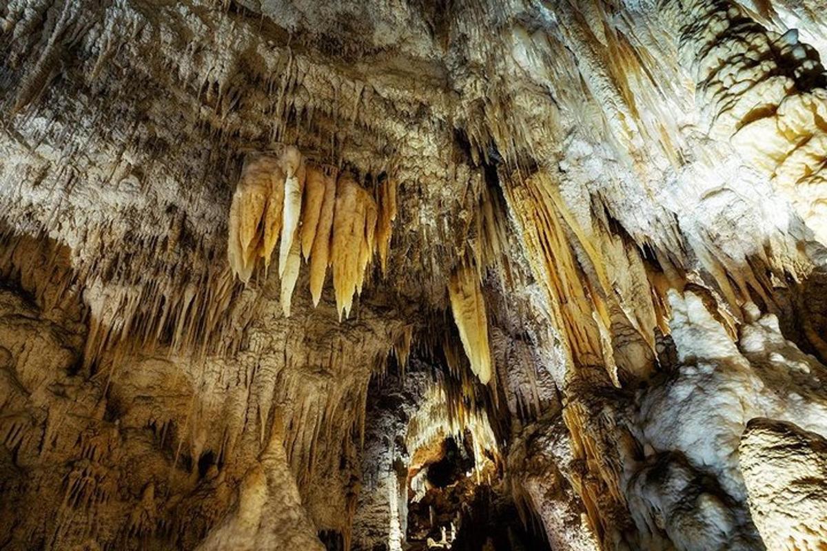a cave filled with lots of rock formations