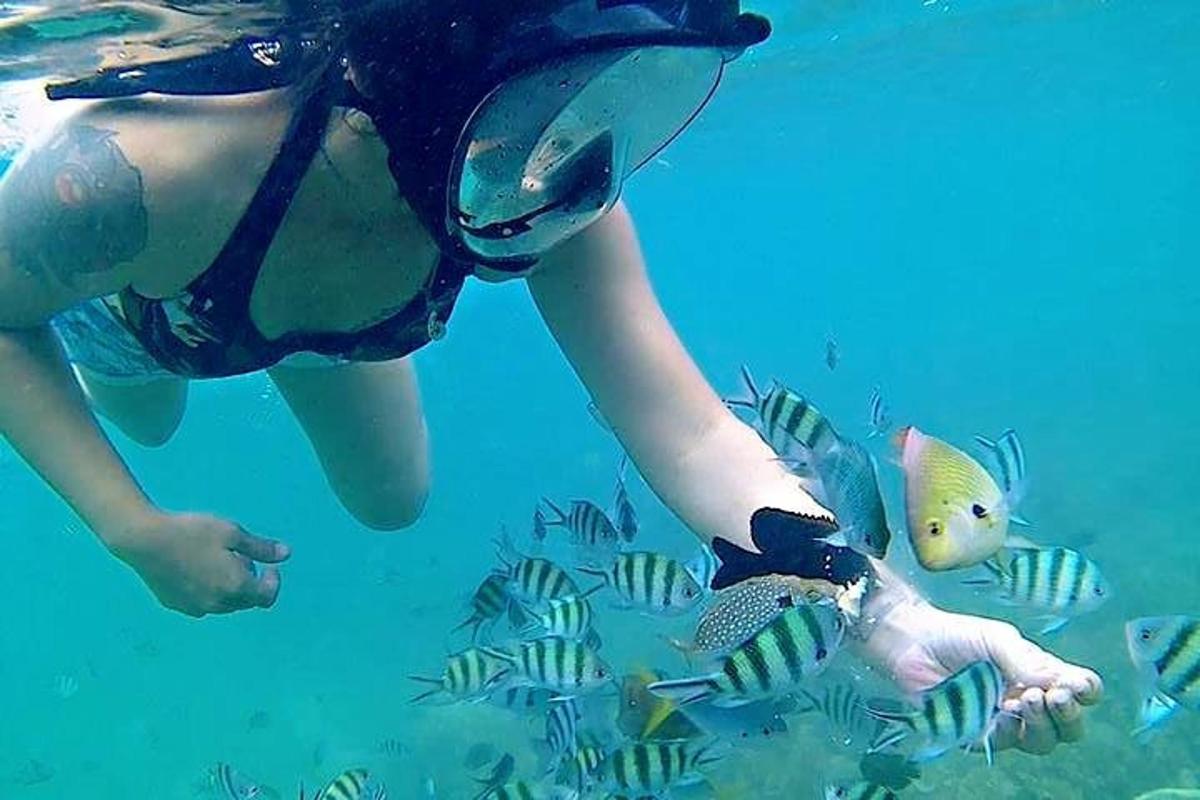 một người phụ nữ đang nhìn cá trong nước