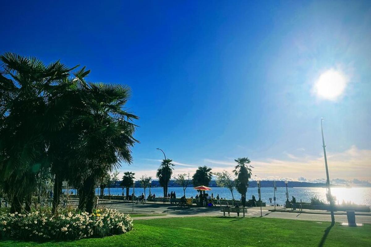 egy park pálmafákkal és egy vízfelülettel