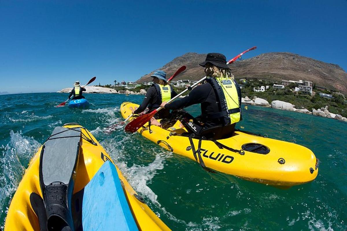 Un grupo de personas en kayaks en el agua.