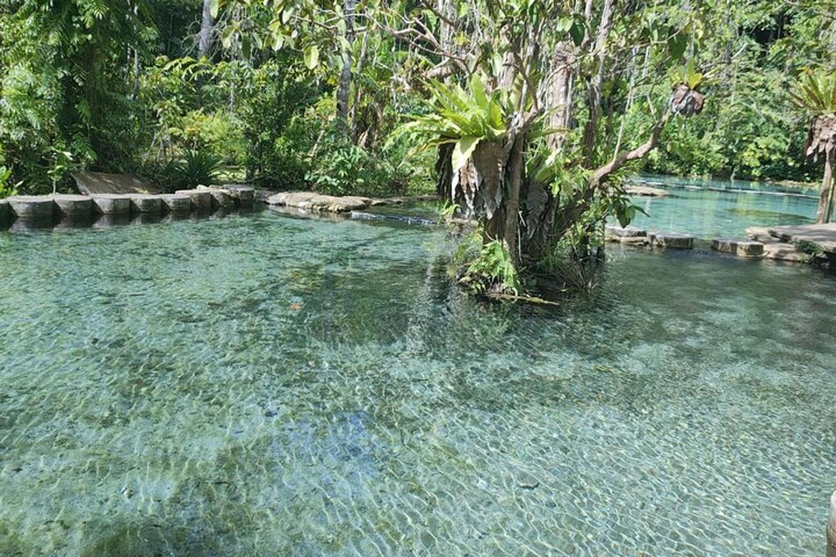 kolam air dengan pokok di tengah