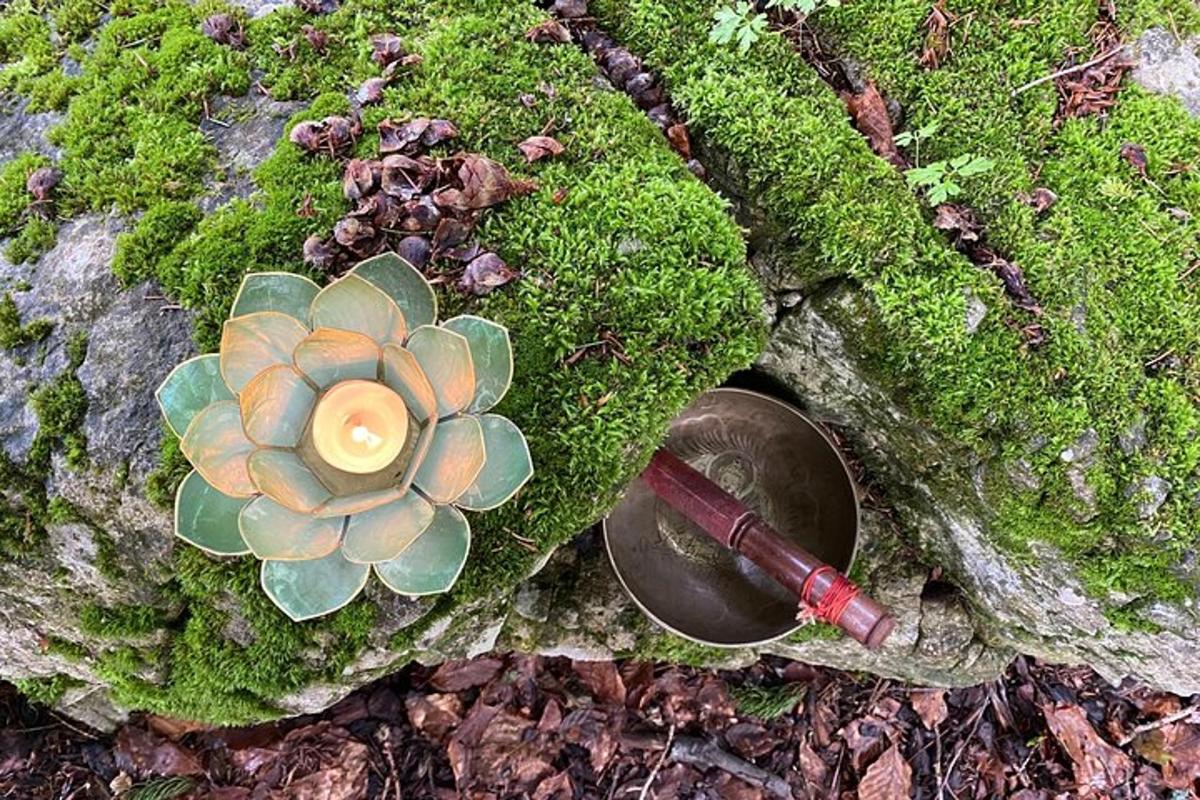 a flower and a cup on the ground with moss