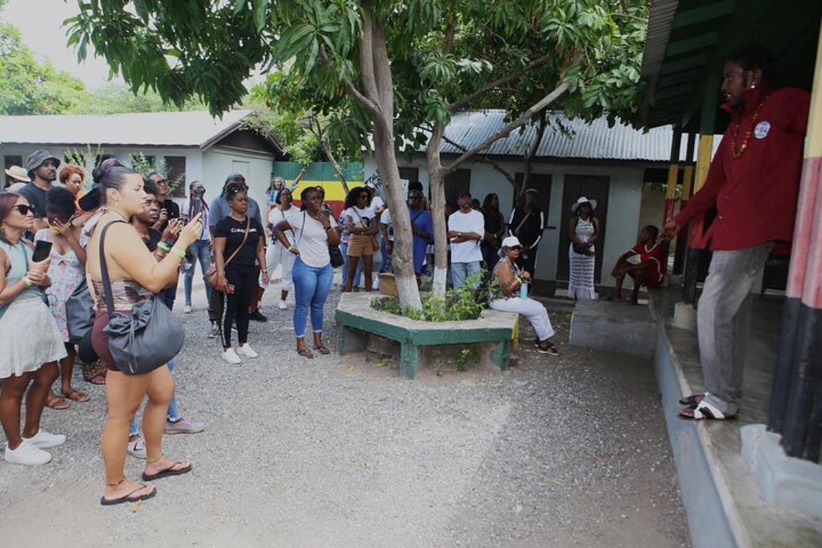 a crowd of people standing around a tree