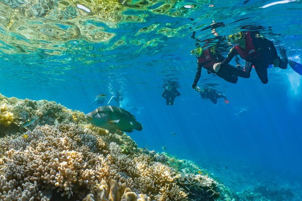 a group of people swimming over a coral reef