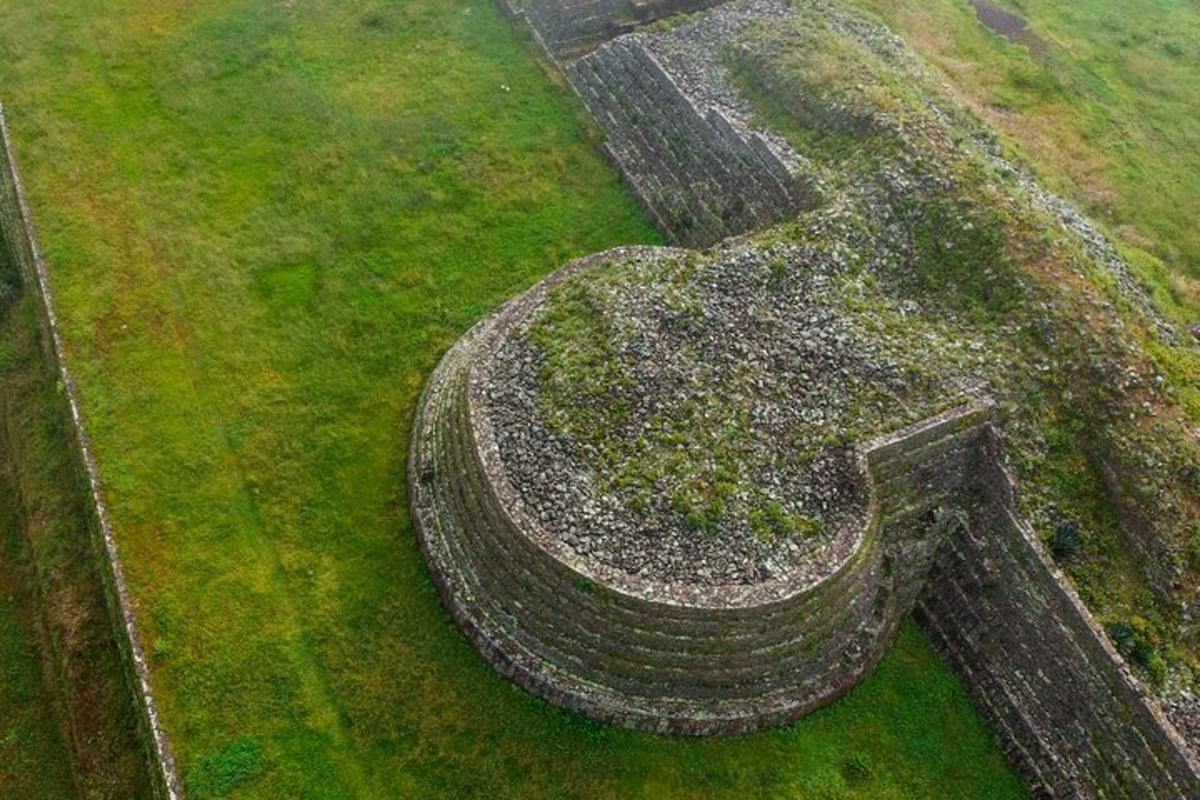 an aerial view of a garden in a field