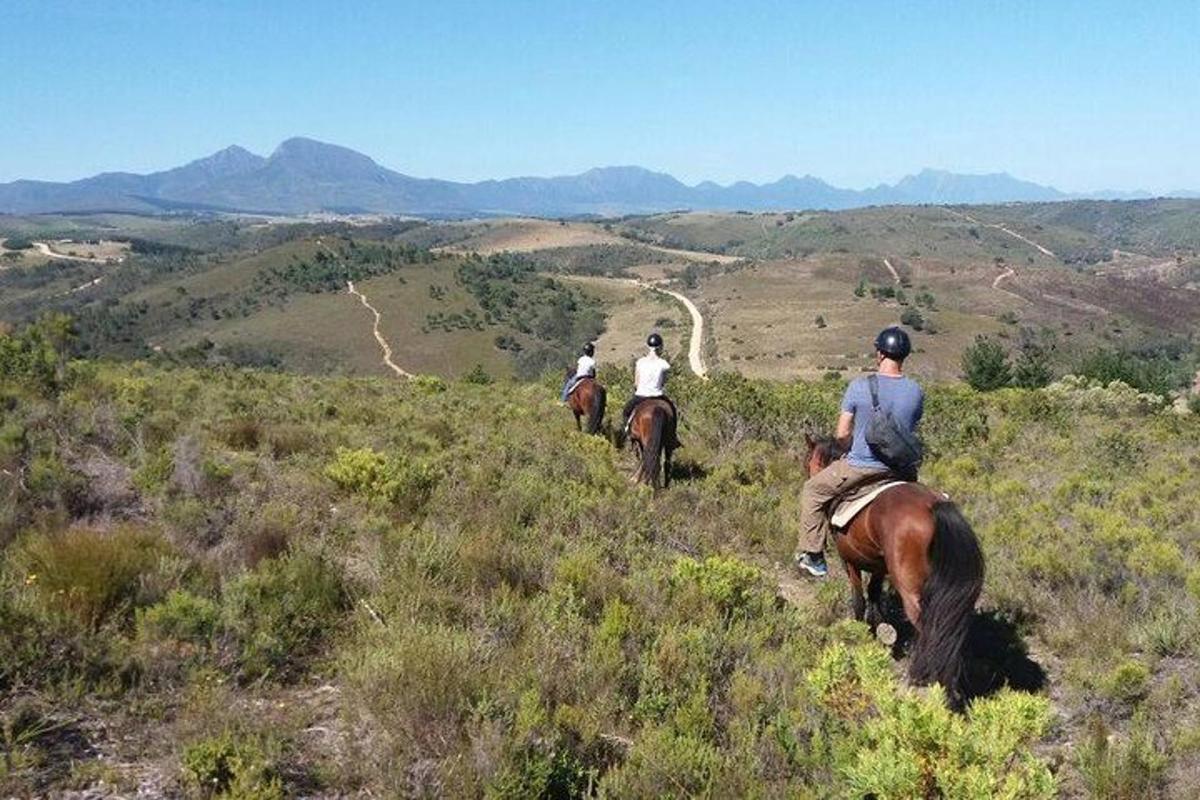 um grupo de pessoas andando a cavalo em uma colina