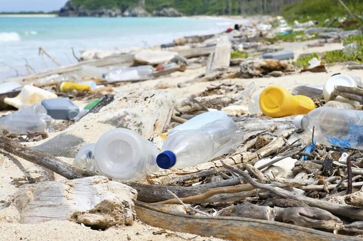 hunnik plastpudeleid rannas