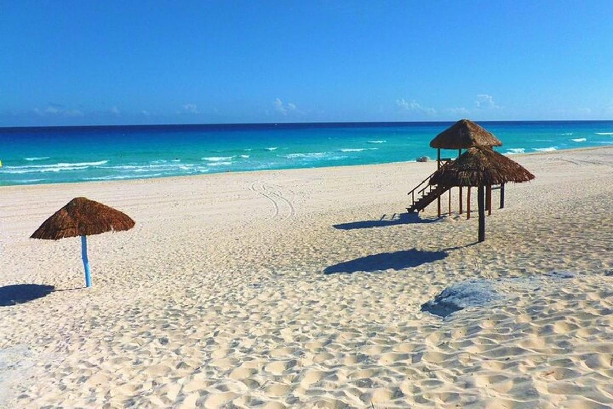 due ombrelloni di paglia su una spiaggia con l'oceano