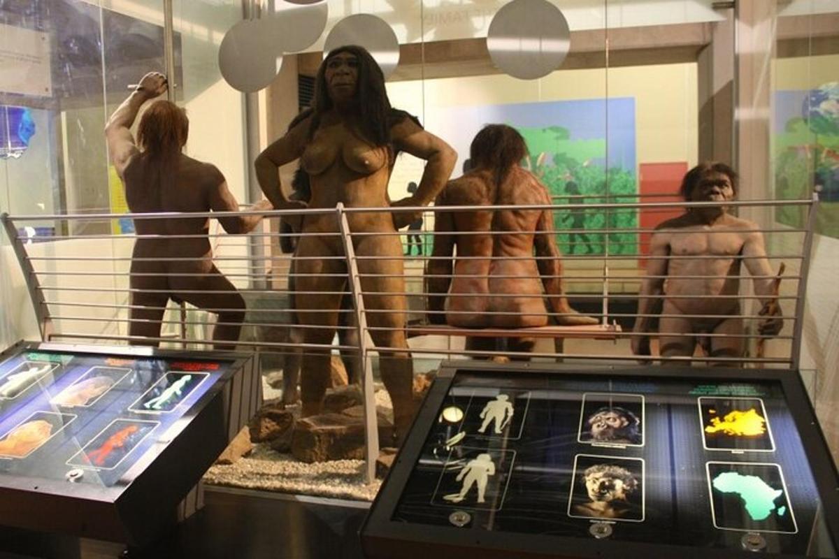 a group of men in a display case in a museum