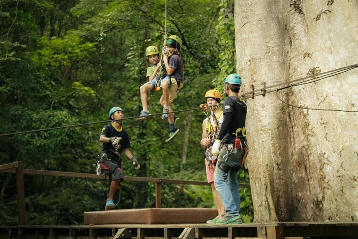skupina ľudí na zipline pri strome