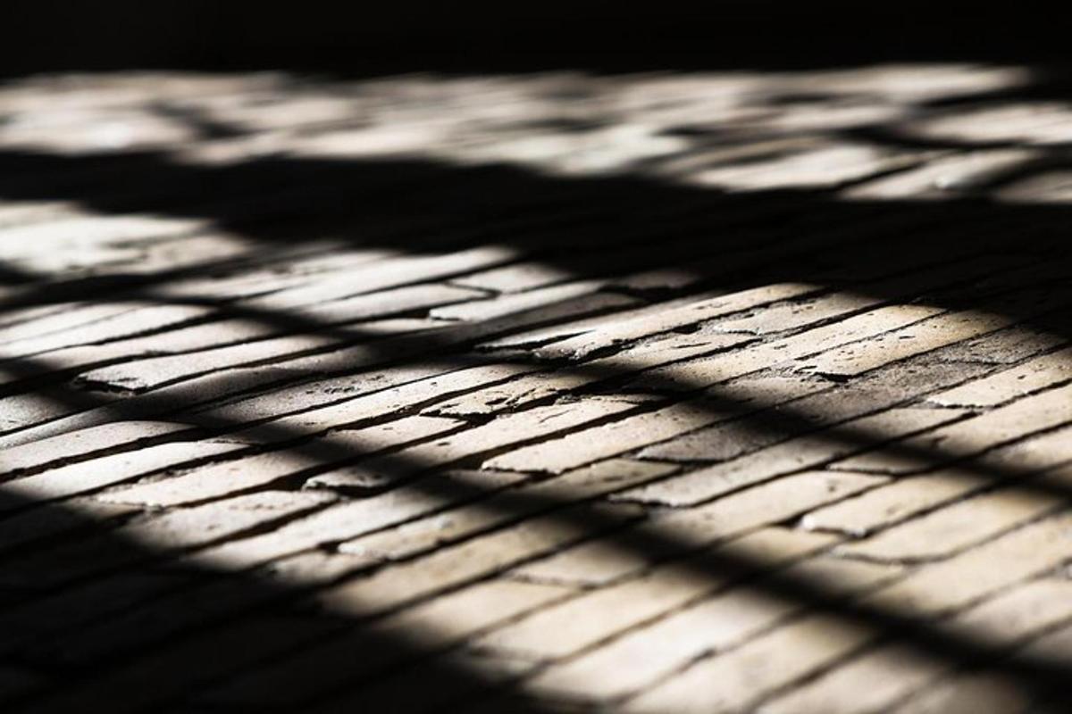 una foto en blanc i negre d'un terra de fusta amb ombres