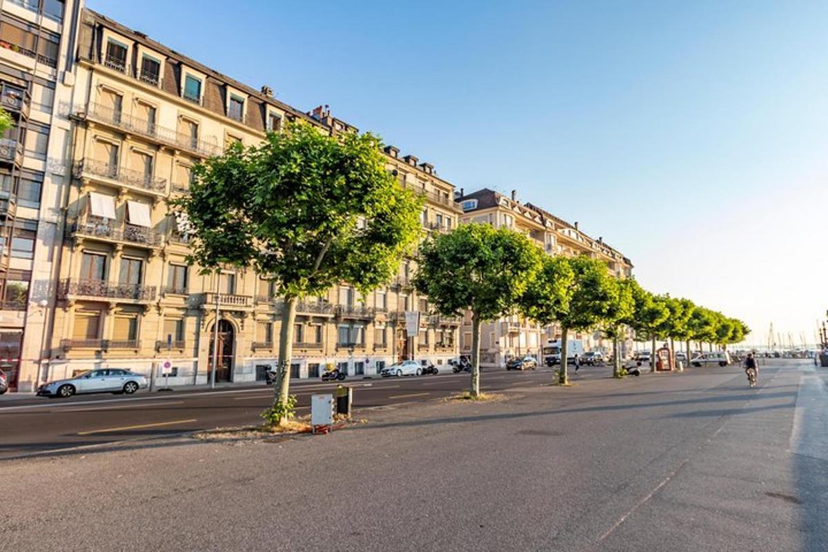 un carrer amb arbres davant d'un edifici