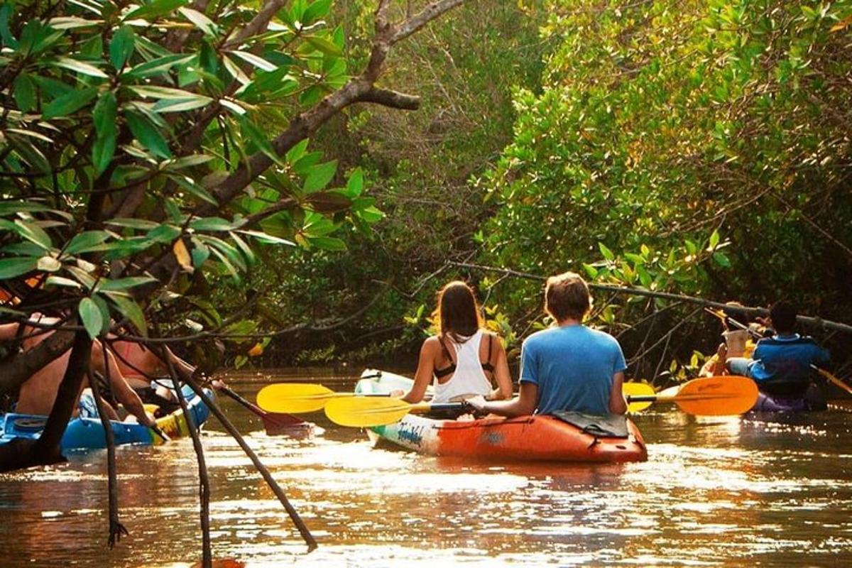 Un grupo de personas navegando en kayak por un río