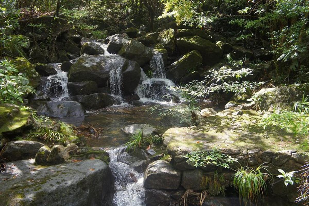 uma cachoeira no meio de uma floresta com pedras