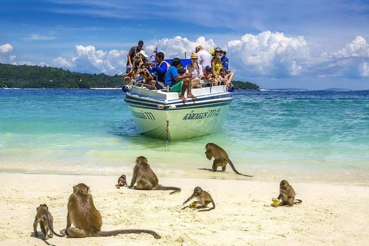 sekumpulan monyet duduk di pantai bersebelahan bot