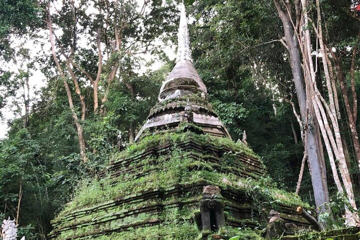 metsas asuv sammaldega hoone