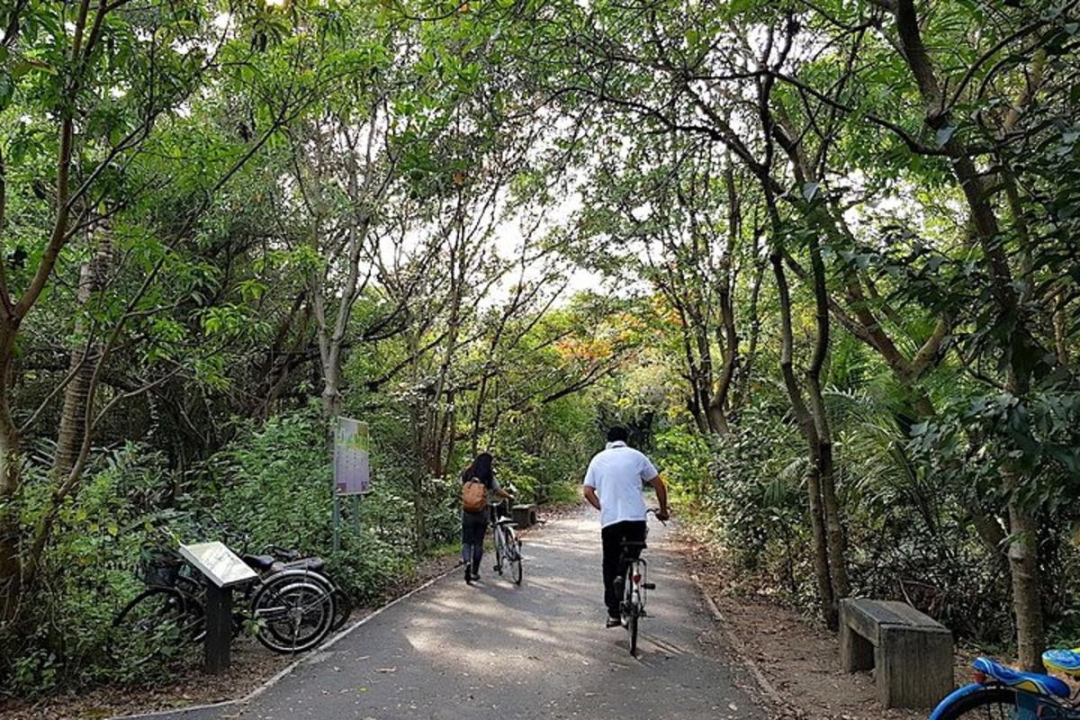 due persone in bicicletta lungo un sentiero in una foresta