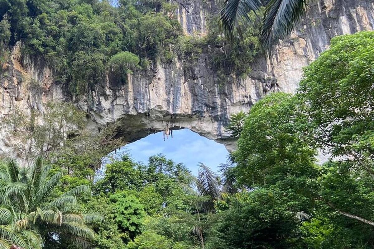 un arco nel fianco di una montagna con alberi