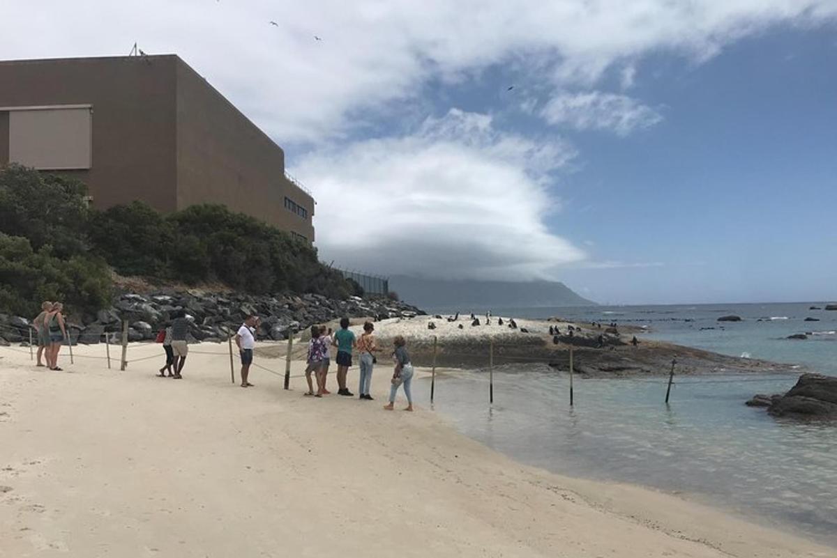 un gruppo di persone che camminano sulla spiaggia