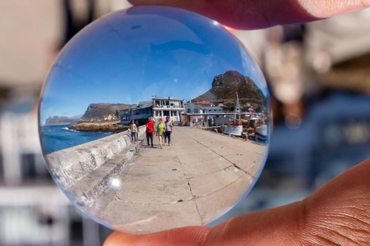 una mano che tiene una palla di vetro con una spiaggia