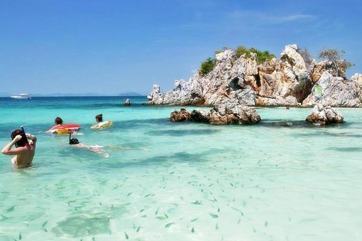 um grupo de pessoas na água em uma praia
