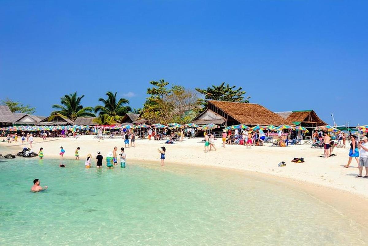 một nhóm người ở dưới nước tại bãi biển