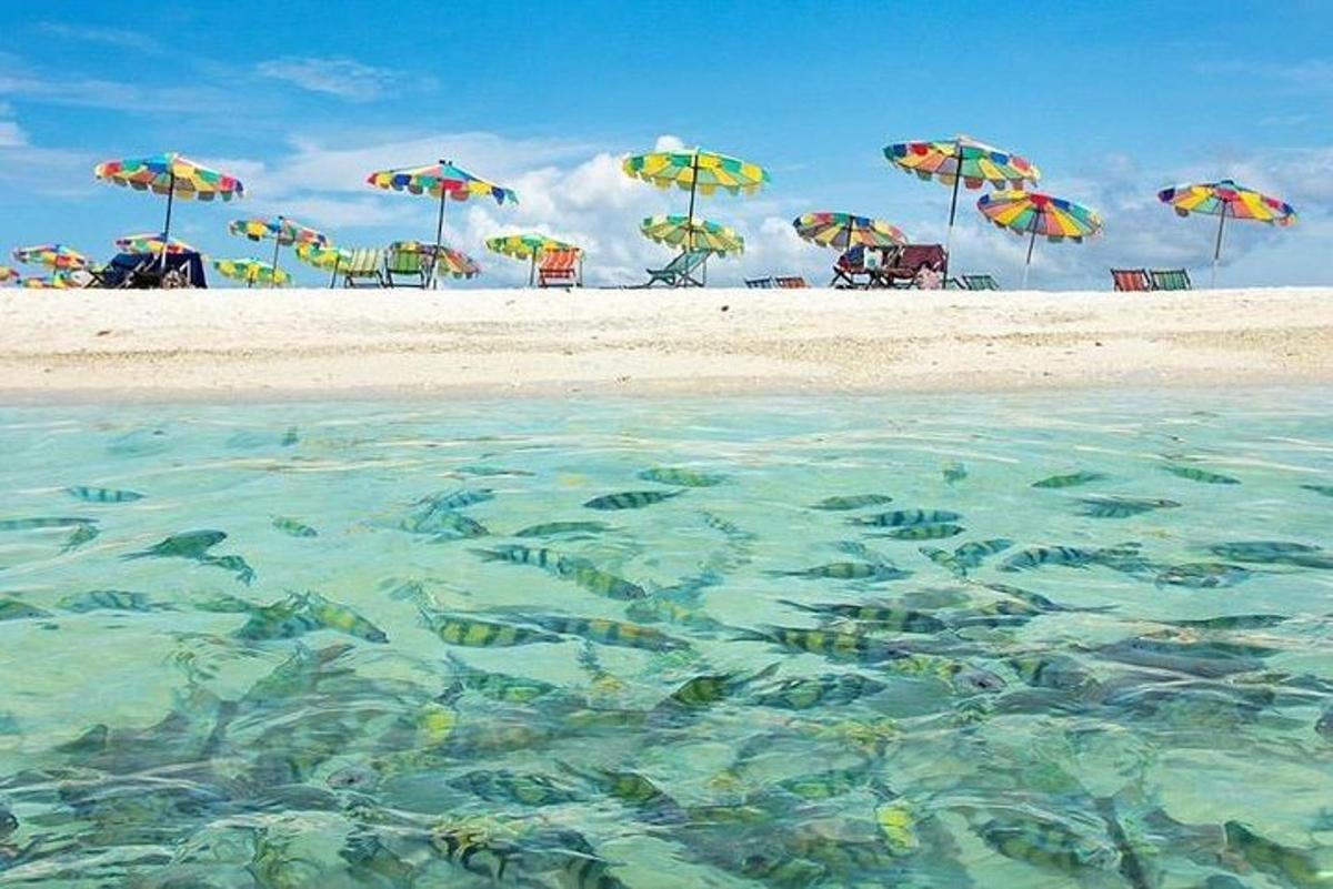 một cảnh bãi biển với ô dù và cá trong nước