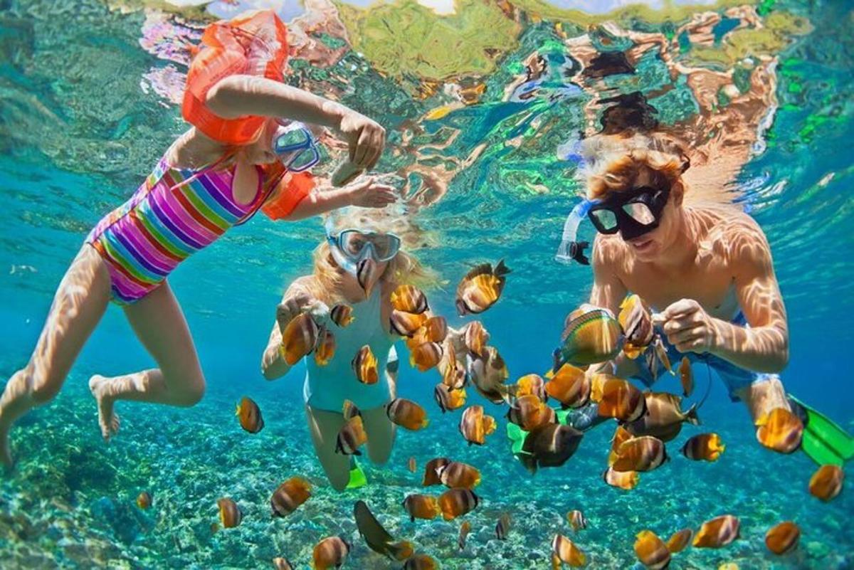 Un grupo de personas nadando en el agua con peces.