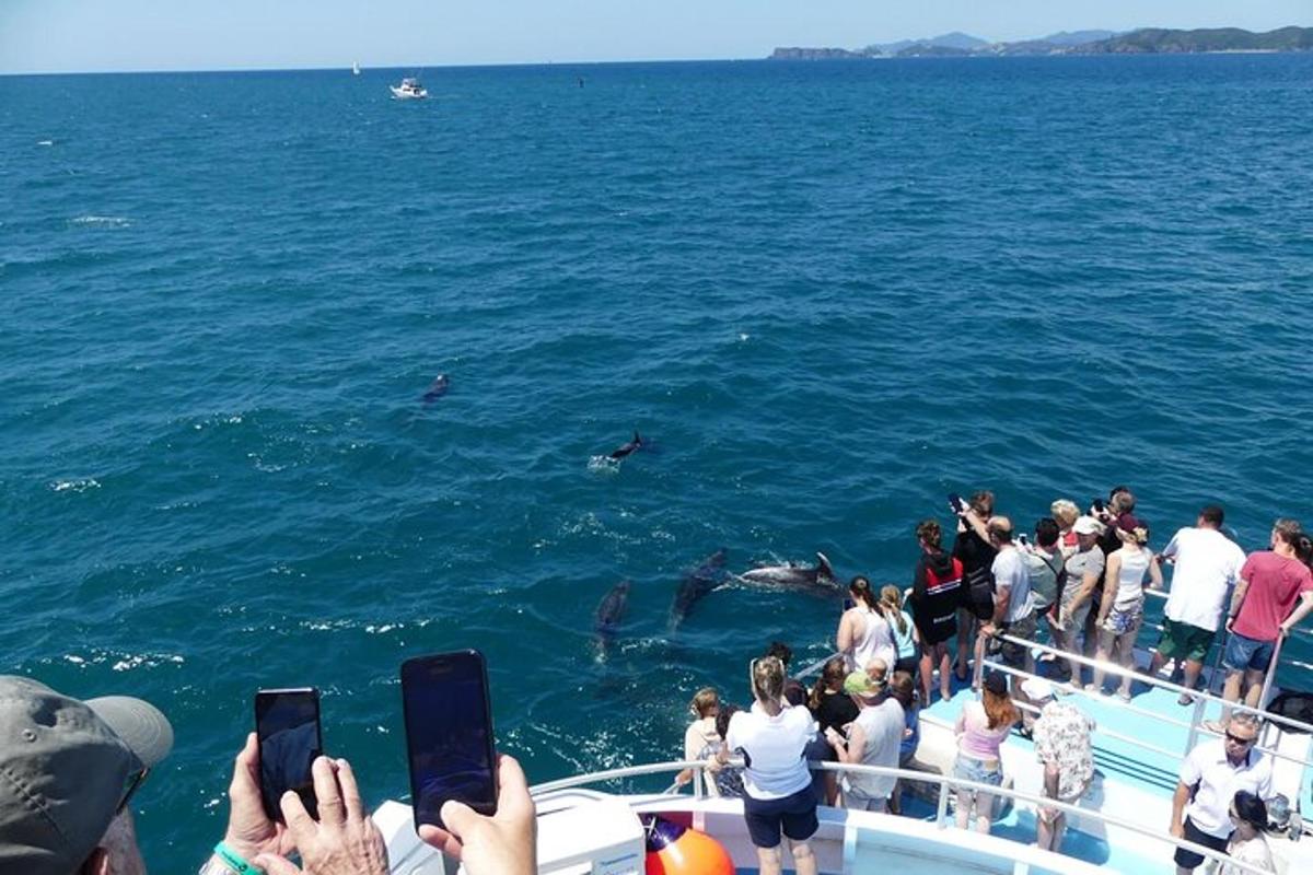 a group of people on a boat taking pictures of dolphins