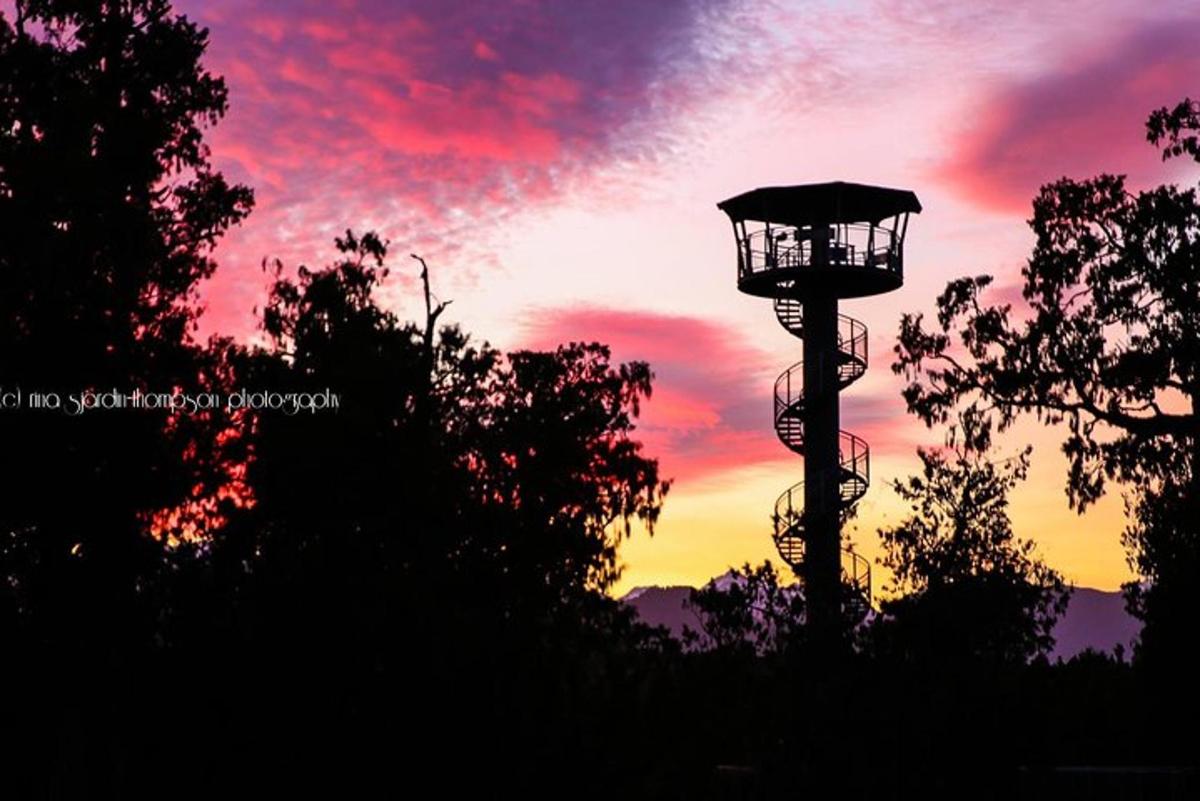 a silhouette of a tower in front of a sunset