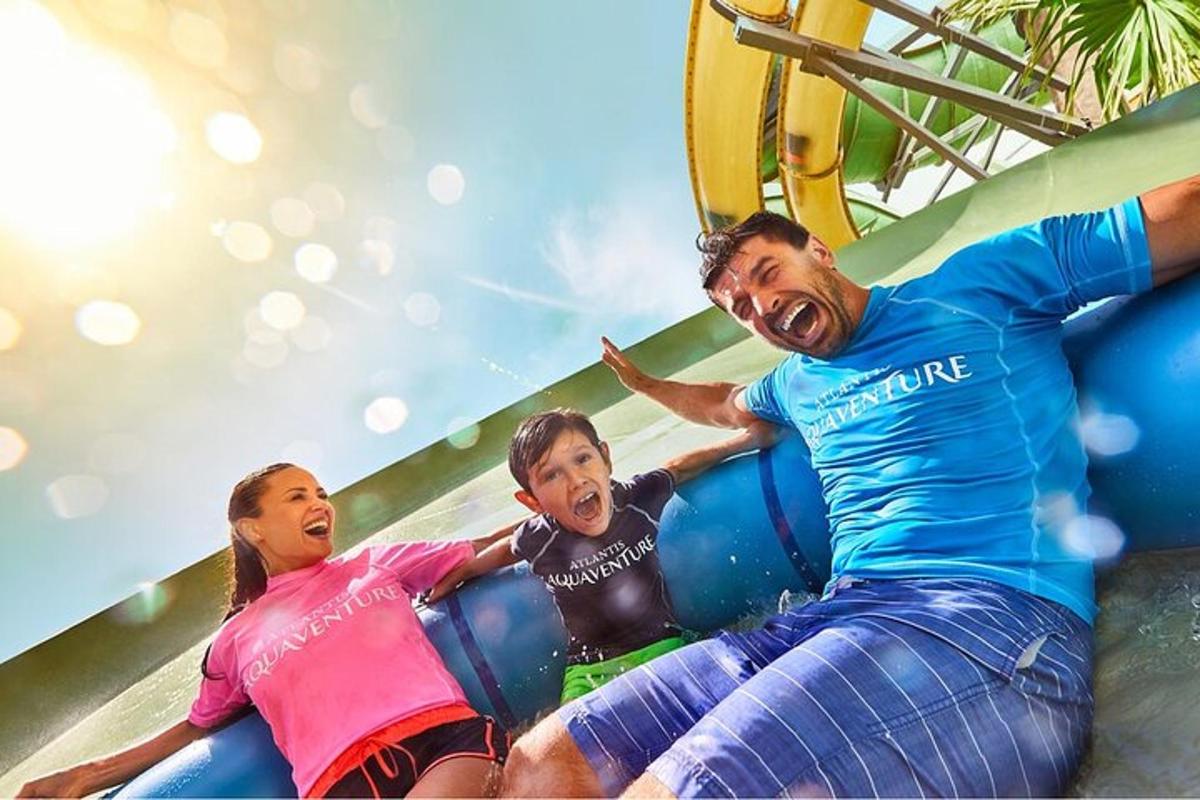 Attraction picture 5