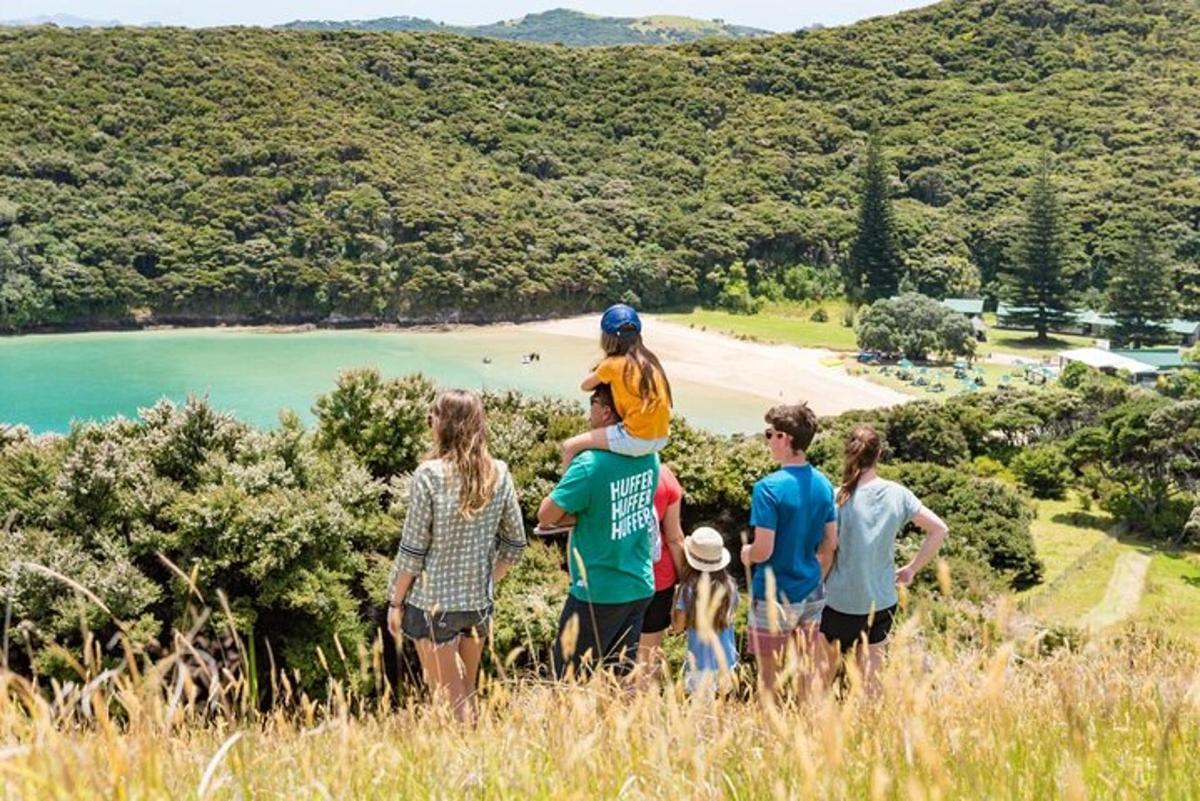 a group of people standing on a hill overlooking a beach
