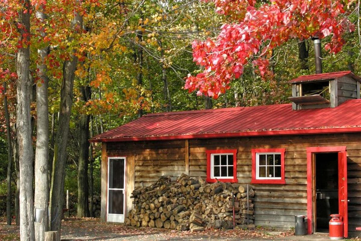 a small log cabin with a red roof