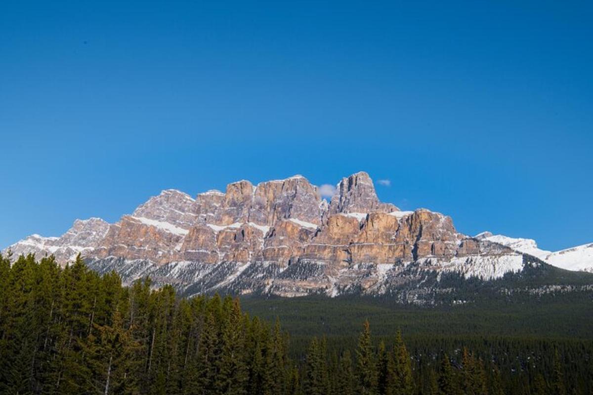 a large rocky mountain with trees in front of it