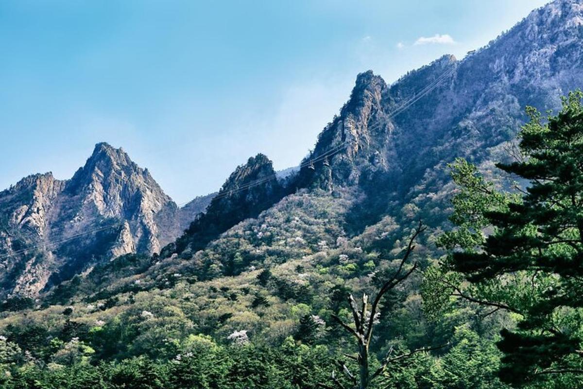 uma vista de uma montanha com árvores na frente dela