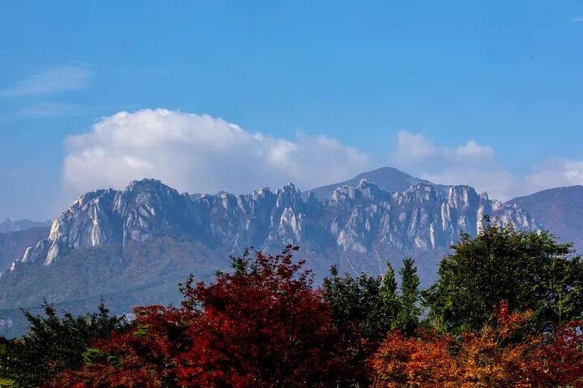 uma vista de uma cadeia de montanhas com árvores em primeiro plano