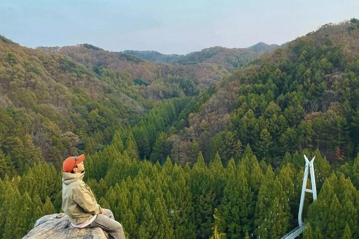 una persona seduta su una roccia che guarda una foresta