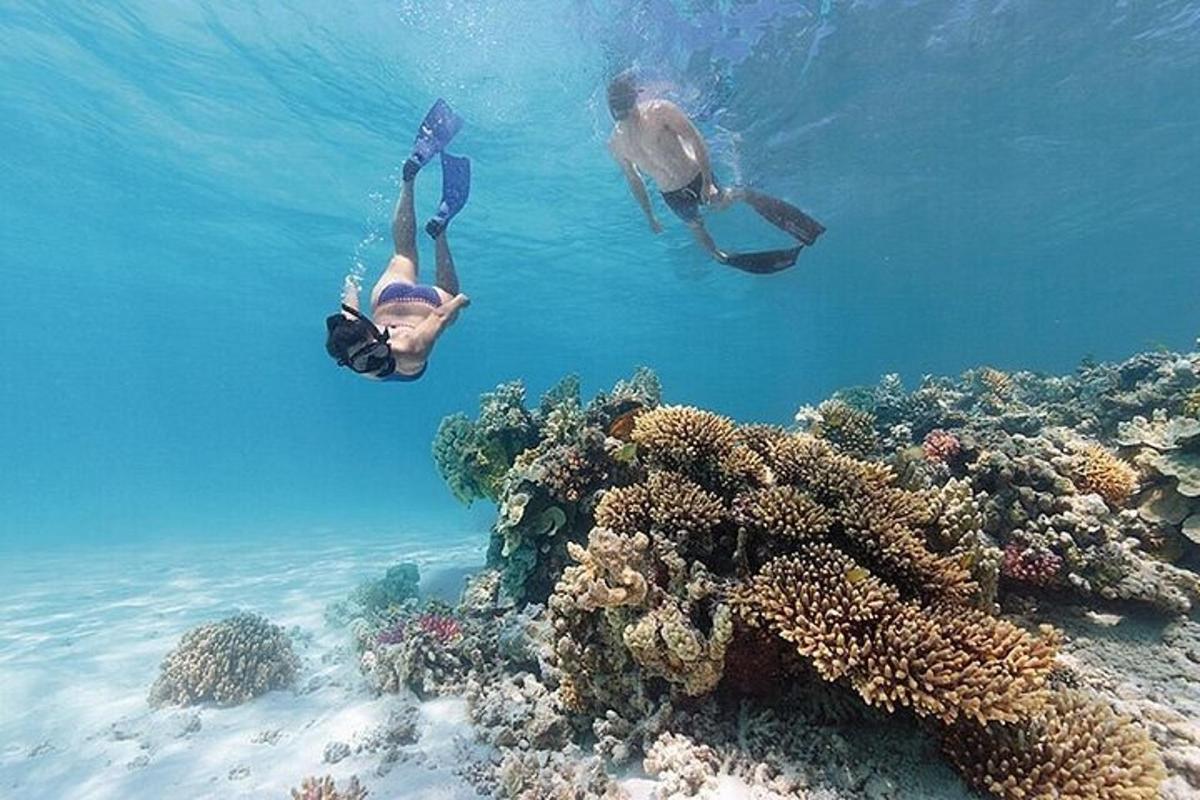 two people swimming in the ocean near a coral reef