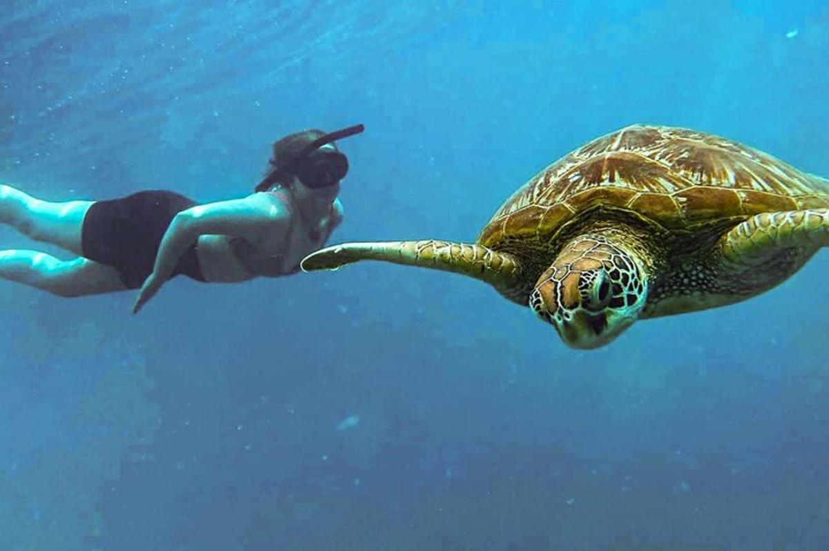 a woman swimming next to a turtle in the water