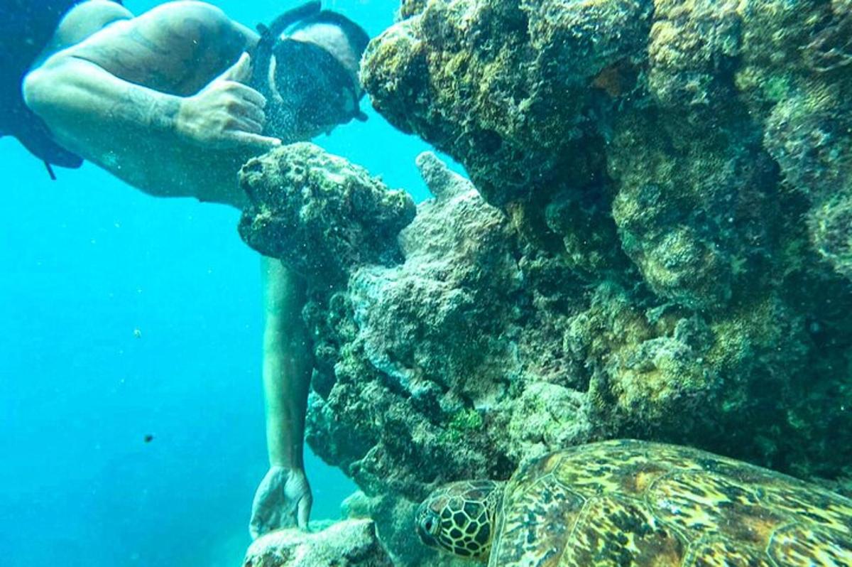 a man swimming in the water next to a turtle
