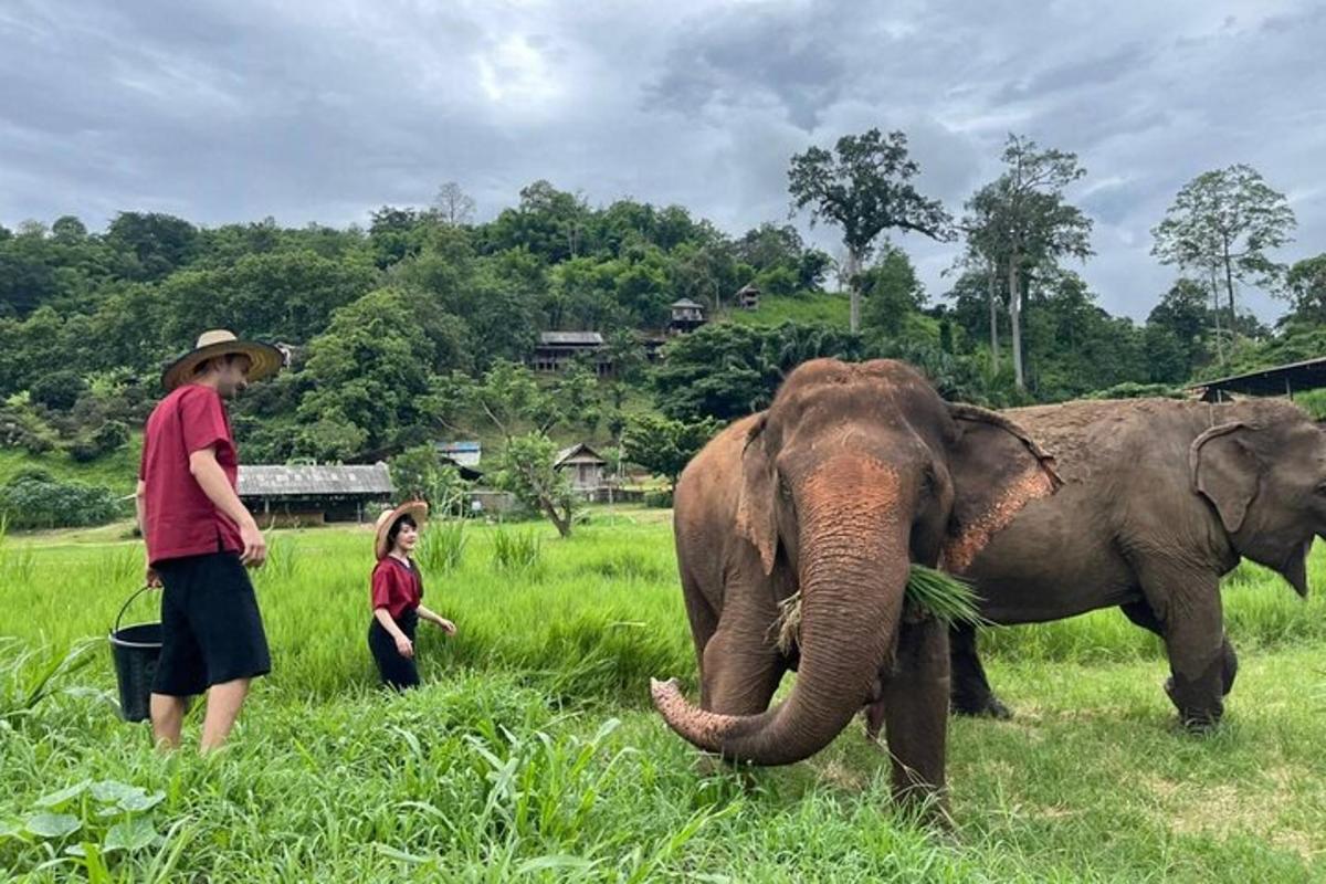 un uomo e una donna in piedi accanto a un elefante