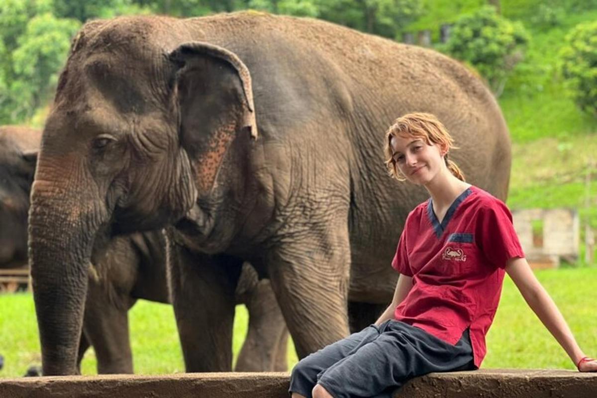 un ragazzino seduto su un muro di fronte a un elefante