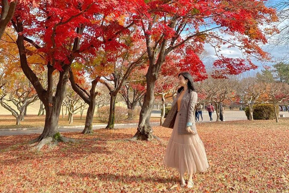 투어 액티비티 사진 7번