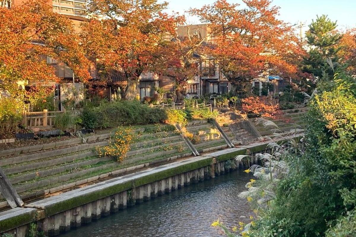 a park with benches next to a river
