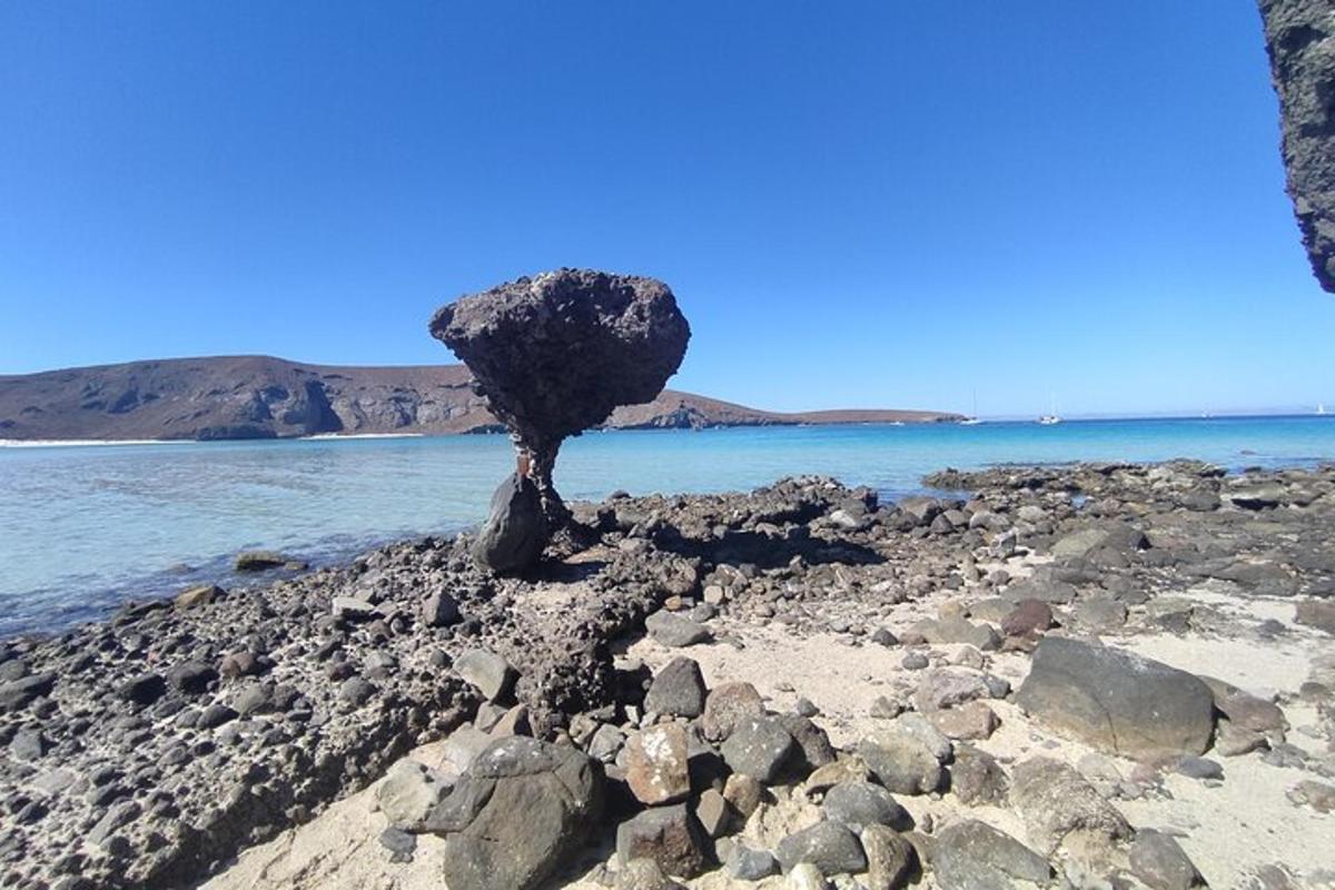 sebuah batu di pantai berbatu dengan lautan